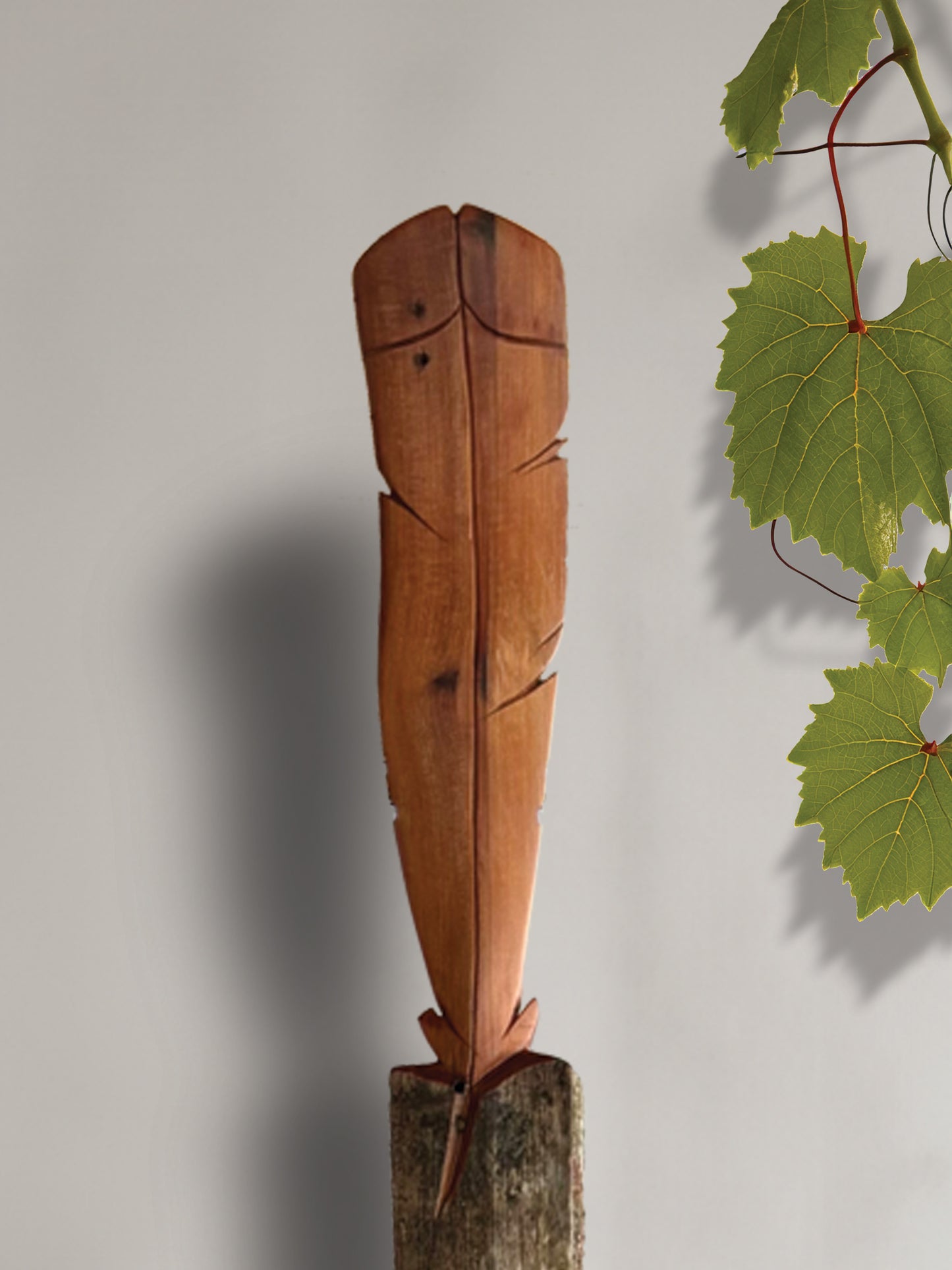 Huia Feather on Stand