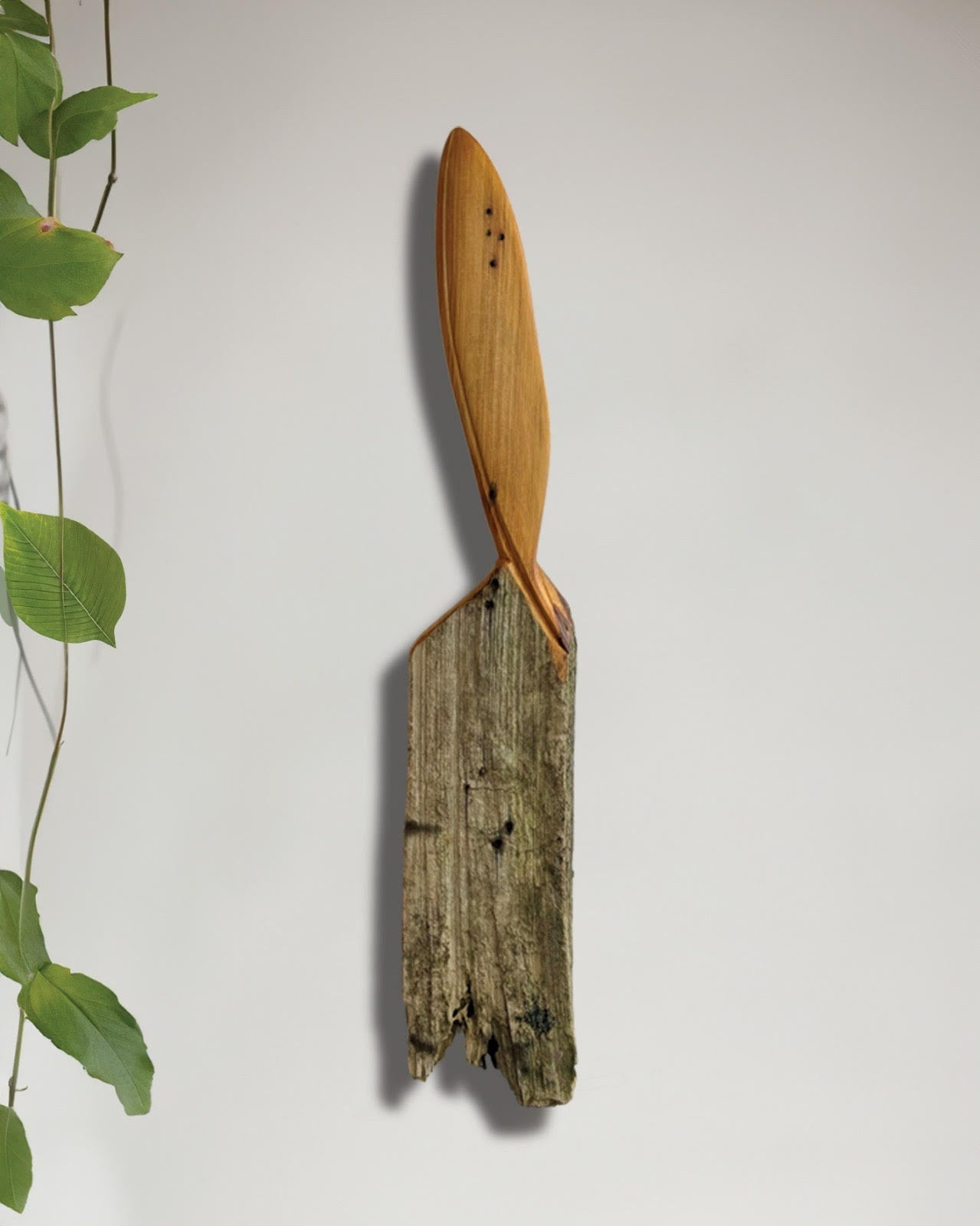 Kahu/Hawk Feather Wall Art by Des Smith