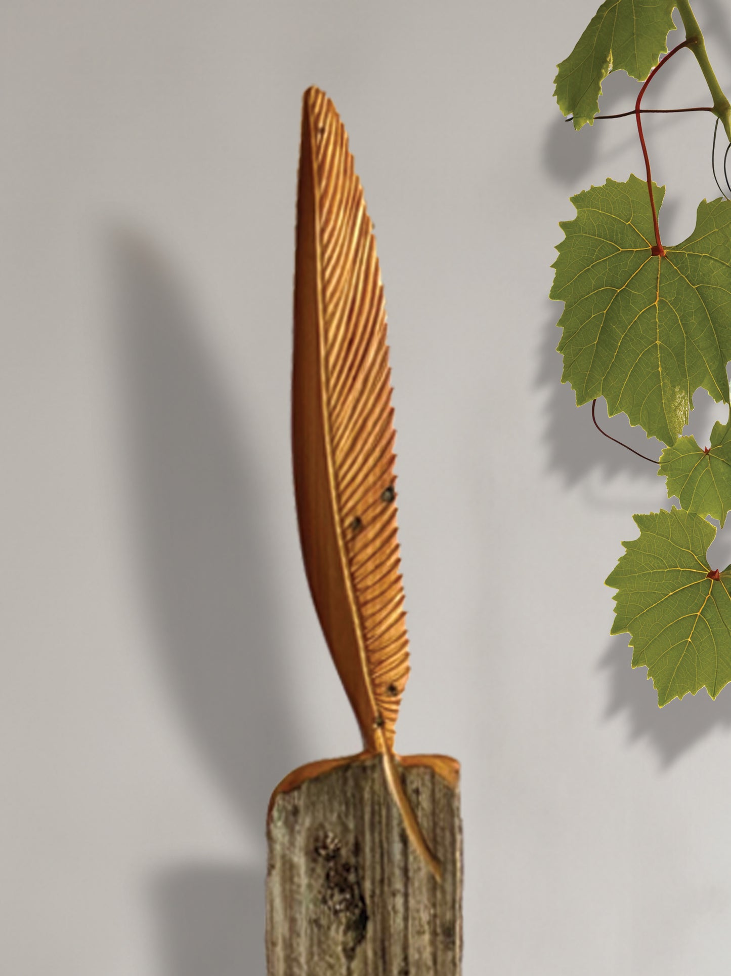 Tui Feather Art on Stand
